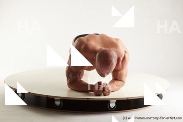 various reference of dale 31