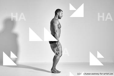 ramon reference 01 03