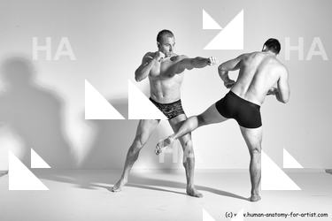 fighting reference 01 11