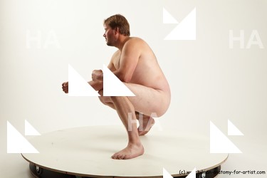 various reference of otis 03