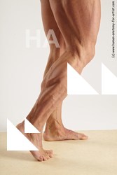 various reference of dale 23