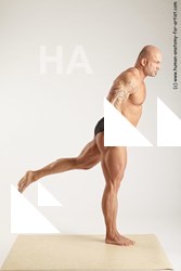 various reference of dale 31