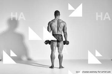 ramon reference 03 02