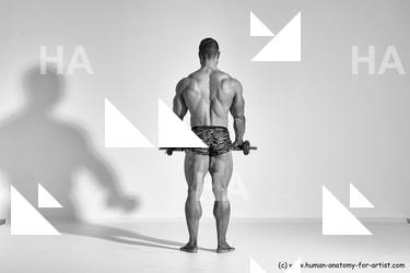 ramon reference 03 04