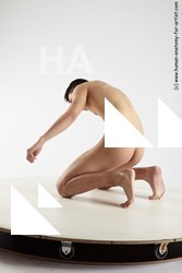 various reference of frederik 12