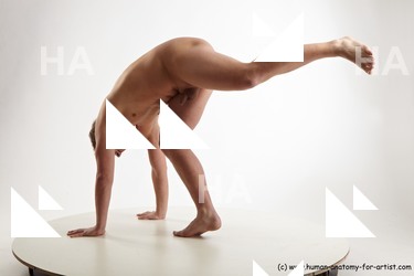 standing reference of todd 21