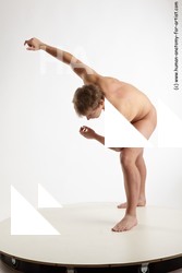 standing reference of todd 27