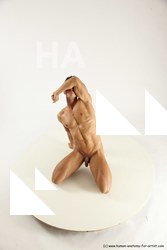 Nude Man White Muscular Short Brown Sitting poses - ALL Sitting poses - on knees Multi angles poses Realistic