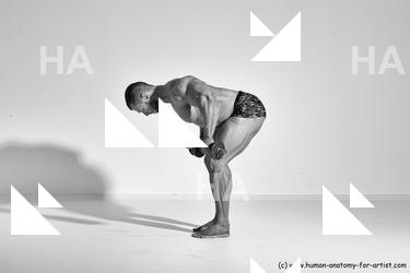 ramon reference 02 08