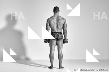 ramon reference 03 01