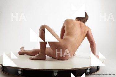 various reference of todd 12