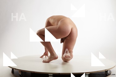 various reference of todd 34