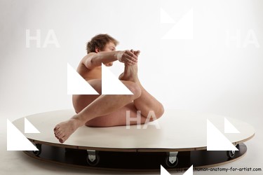 various reference of todd 31