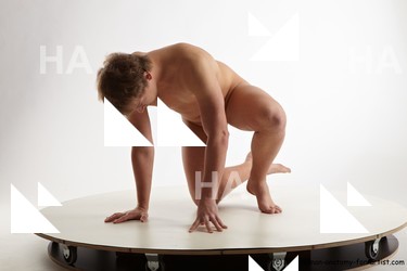 various reference of todd 39