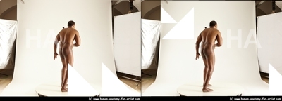 stereoscopic denny 102