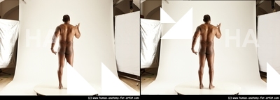 stereoscopic denny 013