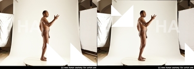 stereoscopic denny 015