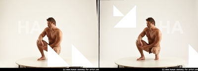 stereoscopic herbert 330