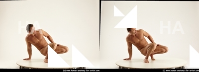 stereoscopic herbert 337