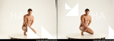 stereoscopic herbert 328