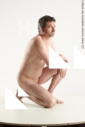 kneeling reference of gregory 24