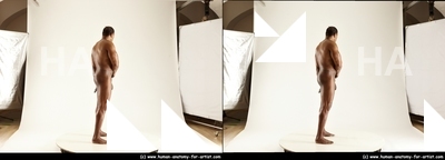 stereoscopic denny 189