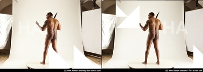 stereoscopic denny 195