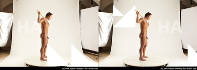 stereoscopic herbert 175