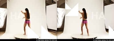 stereoscopic elmer 260