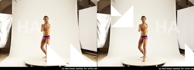 stereoscopic elmer 273