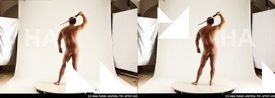 stereoscopic herbert 213