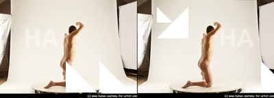 stereoscopic bretislav 263