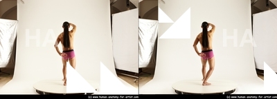 stereoscopic elmer 293