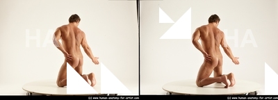 stereoscopic herbert 396