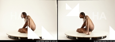 stereoscopic denny 355