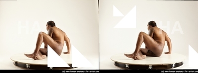 stereoscopic denny 356