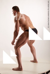 standing reference of andrew12