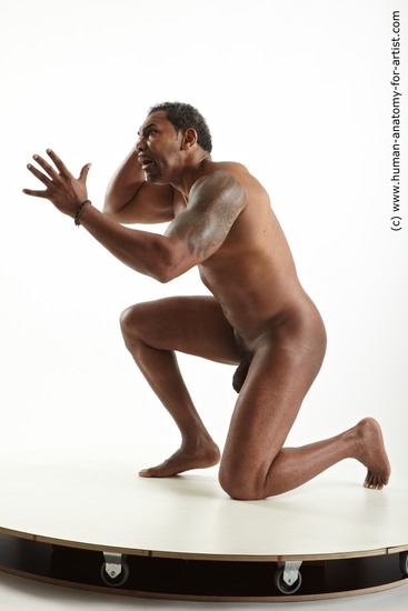 Nude Man Black Average Short Black Standard Photoshoot Realistic