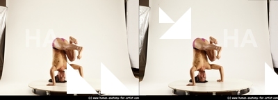 stereoscopic elmer 392