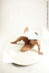 3f exner sitting 01 05a