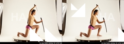 stereoscopic elmer 455