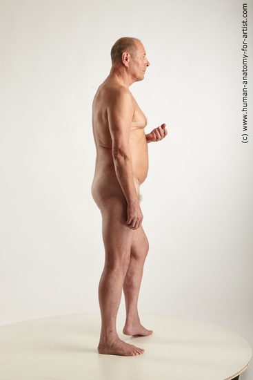 Nude Man White Standing poses - ALL Chubby Short Grey Standing poses - simple Standard Photoshoot Realistic