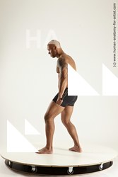 3f ron fighting 04 05b