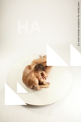 3f alton delta laying 02 61a