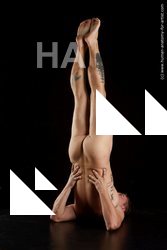 laying reference of oris11