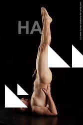 laying reference of oris16