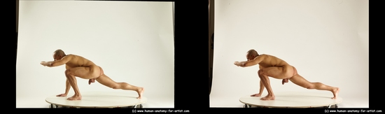Nude Man White Kneeling poses - ALL Muscular Short Brown Kneeling poses - on both knees 3D Stereoscopic poses Realistic
