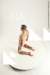 rex kneeling 02 06a