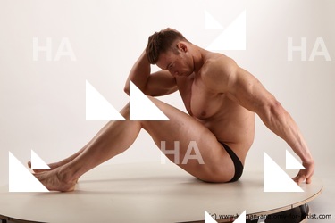 various reference of andrew17