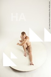 3f rex sitting 01 01a